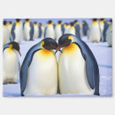 Suche nach wildtiere magnete Pinguin