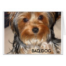 Suche nach kot postkarten Wild