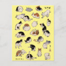 Recherche de bobtail cartes postales Chat