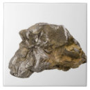 Suche nach naturwissenschaften fliesen Geologie