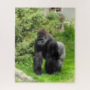 Suche nach gorilla puzzle Silverback