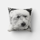 Recherche de visage de chien coussins Animal