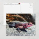 Suche nach masai mara postkarten Kenia