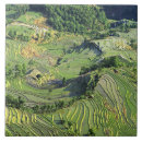 Suche nach getreide fliesen Landwirtschaft