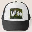 Recherche de poule casquettes Oiseau