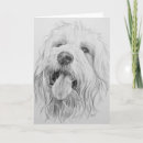 Suche nach mischzucht Hunde