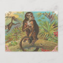 Recherche de jungle tropicale forêt cartes postales Vintage