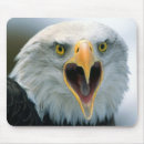 Suche nach schnabel mousepads Wild lebende tiere
