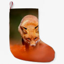 Recherche de renard rouge chaussette de noël Dog