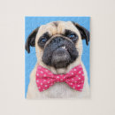 Recherche de bouledogue français puzzles Chien