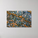 Suche nach fossil leinwandbilder Edelstein