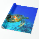 Suche nach schildkröte packpapier geschenkpapier Bunt