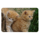 Recherche de frère magnets Mignon