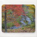 Suche nach ahorn mousepads Usa