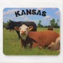 Suche nach hereford mousepads Bauernhof