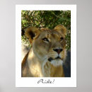 Recherche de lionne art Fierté