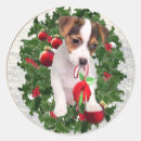 Suche nach jack russell aufkleber Weihnachten