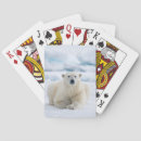 Suche nach fauna spielkarten Superstock