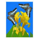 Suche nach erweiterung poster Tierwelt