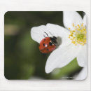 Suche nach anemone mousepads Tiere