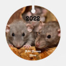 Suche nach rat ornamente Maus