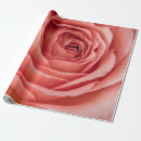 Suche nach mac geschenkpapier Blüte