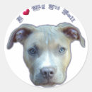 Recherche de pitbull autocollants Taureau