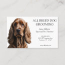 Recherche de cocker cartes visite Dog