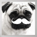 Recherche de moustache posters Animal