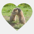 Suche nach marmot aufkleber Murmeltiere