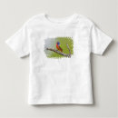 Suche nach singende tshirts Vogel