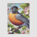 Recherche de merle américain Oiseaux