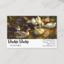 Recherche de coq noir cartes visite Animal