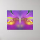 Suche nach hybrider kunst Flora