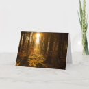 Suche nach sunbeam karten Waldland