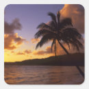 Recherche de lever soleil autocollants Paradis