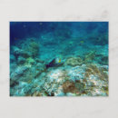 Suche nach marine postkarten Meer