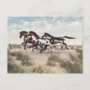 Recherche de galoper cartes postales Cheval