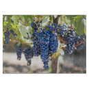 Suche nach weinberg schneidebrettchen Weingut
