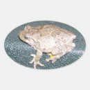 Suche nach froggy aufkleber Amphibien