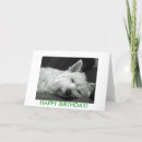 Recherche de westies mignons vœux cartes Occidental