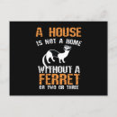 Suche nach frettchen postkarten Frettehalter