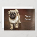 Suche nach dogs einladungen Foto