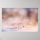 Recherche de nature sauvage posters Hiver