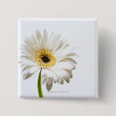 Suche nach gerbera buttons Natur