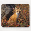Suche nach fleischfresser mousepads Fauna