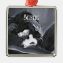 Recherche de border collie Animaux