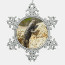 Recherche de lézards ornements Nature