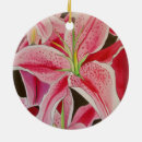 Suche nach rosa lilien ornamente Aquarell