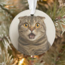 Suche nach lesben ornamente Schwul